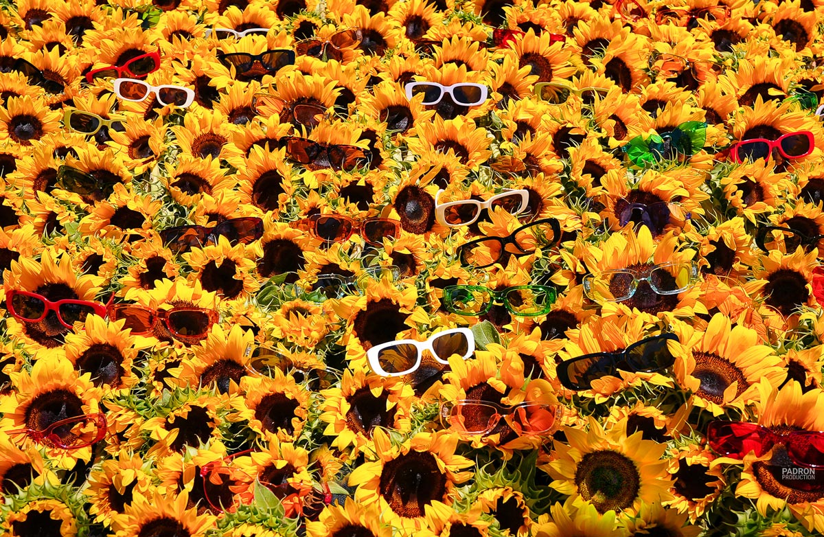 Sunny Day